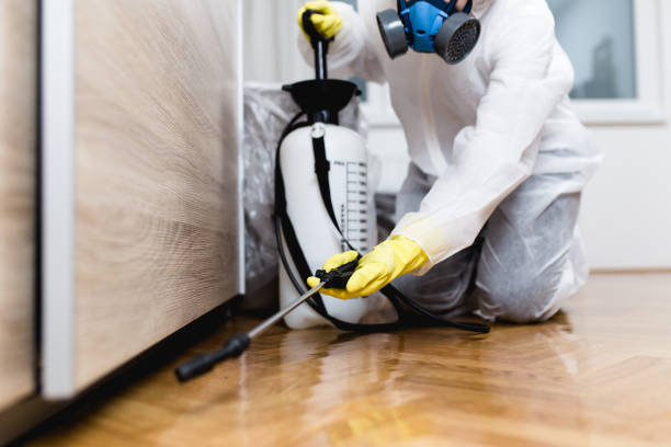 Best Best Pest Control Companies  in Westlake Vlage, IL