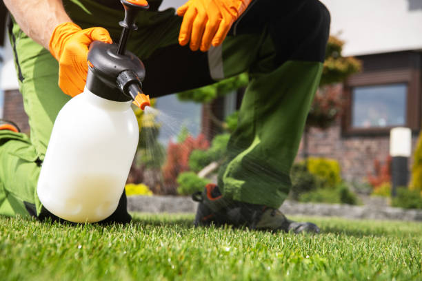Best Mosquito Control Services  in Westlake Vlage, IL