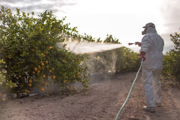 Best Exterminator Services  in Westlake Vlage, IL